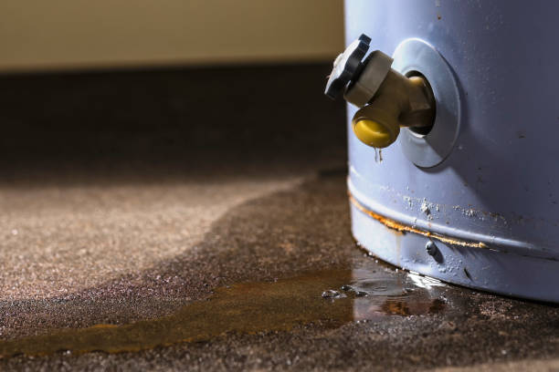 Best Water damage cleanup near me  in Tripoli, IA