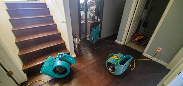 Best Fire Damage Restoration  in Tripoli, IA