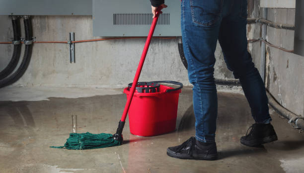 Best Local water damage restoration  in Tripoli, IA