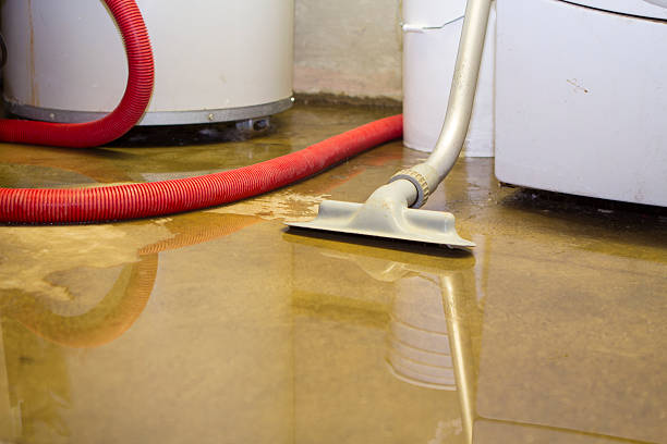 Best Mold removal after water damage  in Tripoli, IA