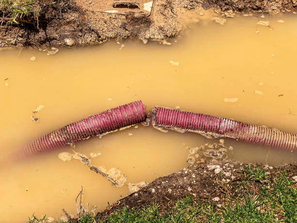 Best Water damage contractors near me  in Tripoli, IA
