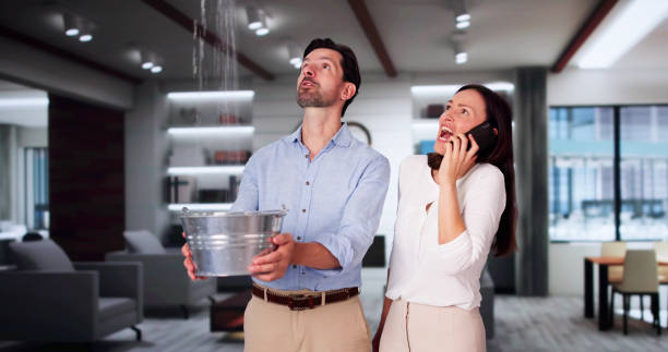 Best Commercial water damage restoration  in Tripoli, IA